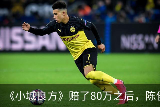《小城良方》赔了80万之后，陈俊南才明白，刘铮亮是小西门的后盾
