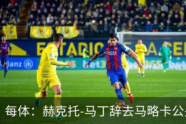 每体：赫克托-马丁辞去马略卡公关总监一职