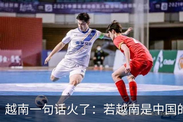 越南一句话火了：若越南是中国的1个省，早就坐上高铁了